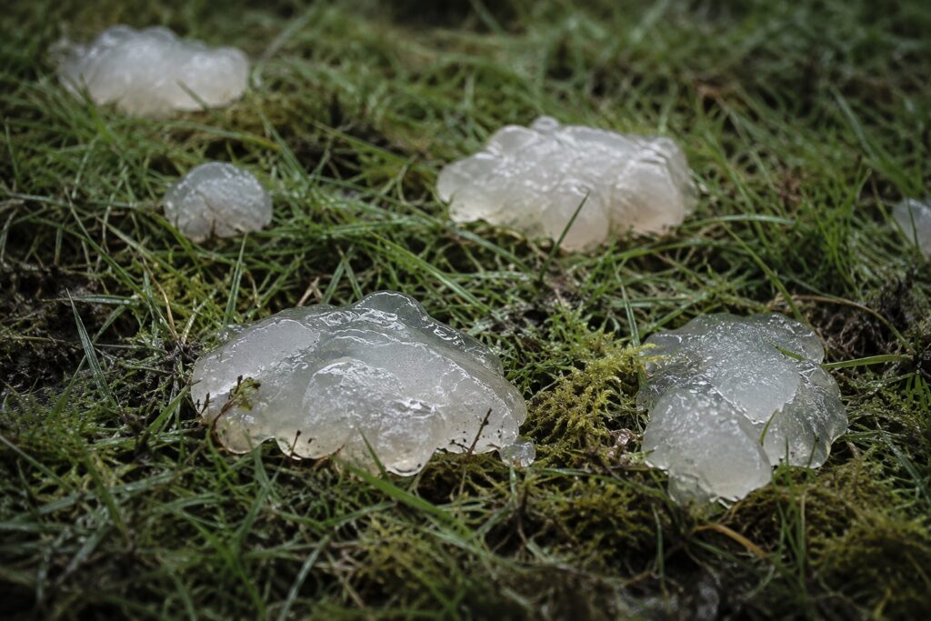 featured image for an article about the Oakville blobs rainstorm